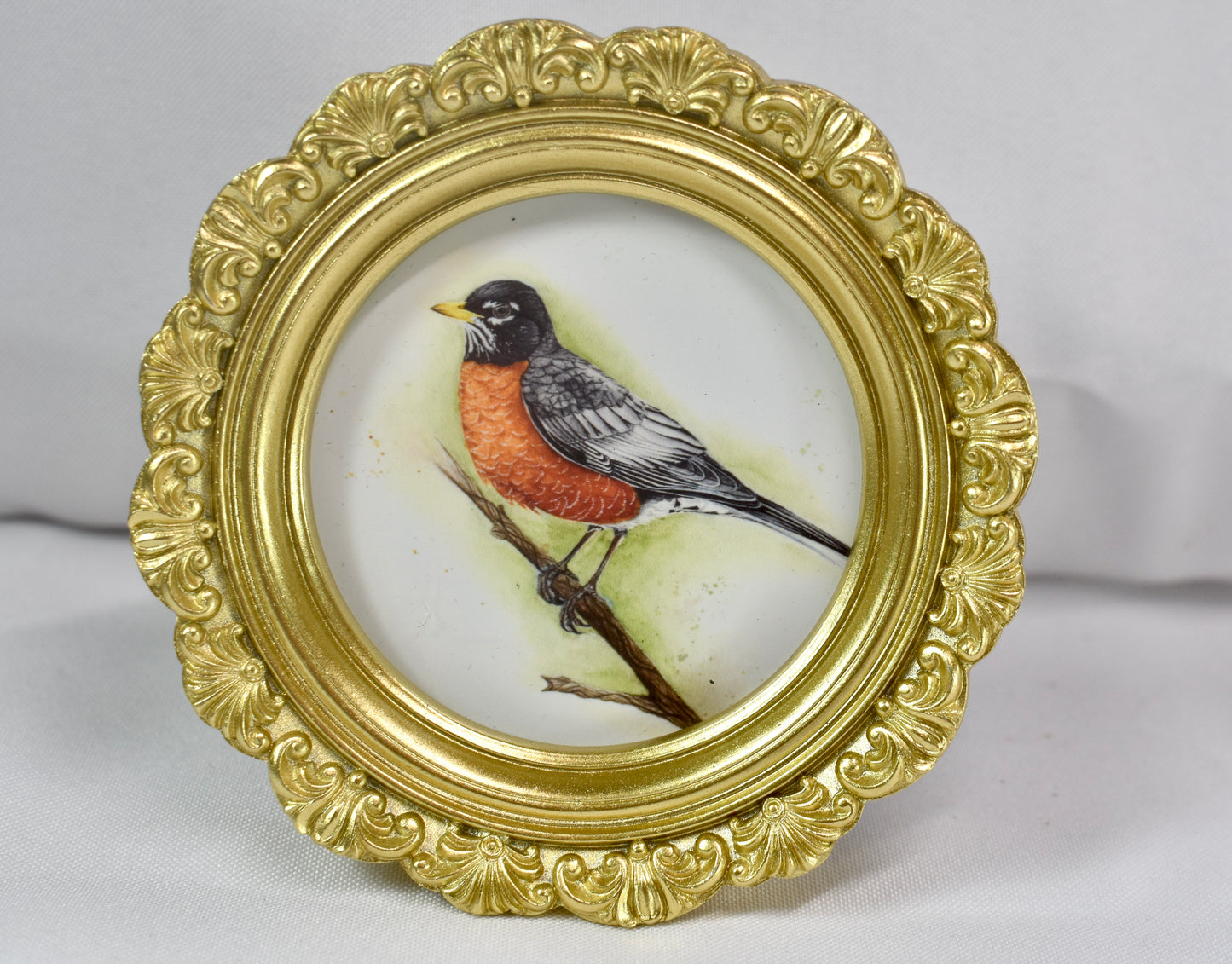 3-inch Mini Robin Frame