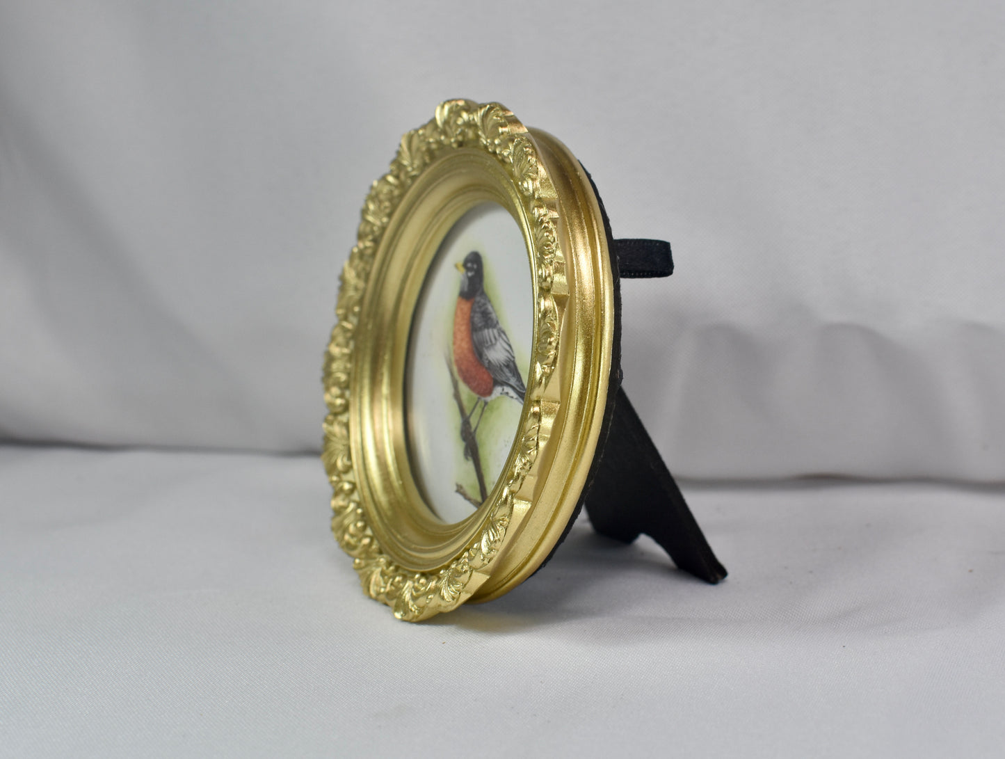 3-inch Mini Robin Frame