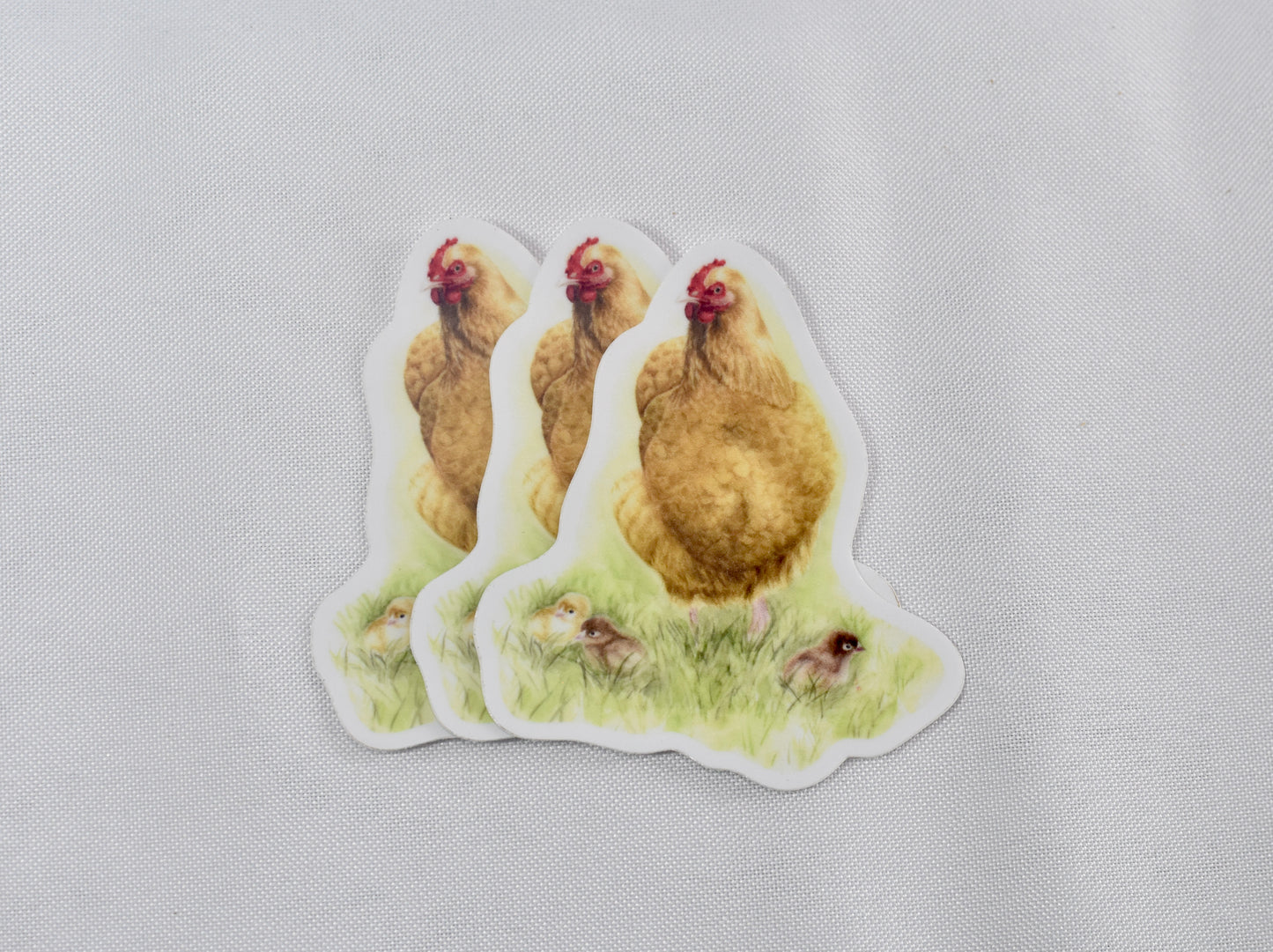 Buff Orpington Sticker
