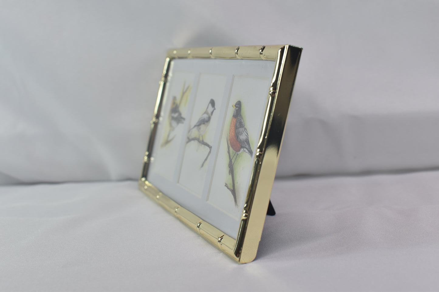 3 Way Songbird Frame
