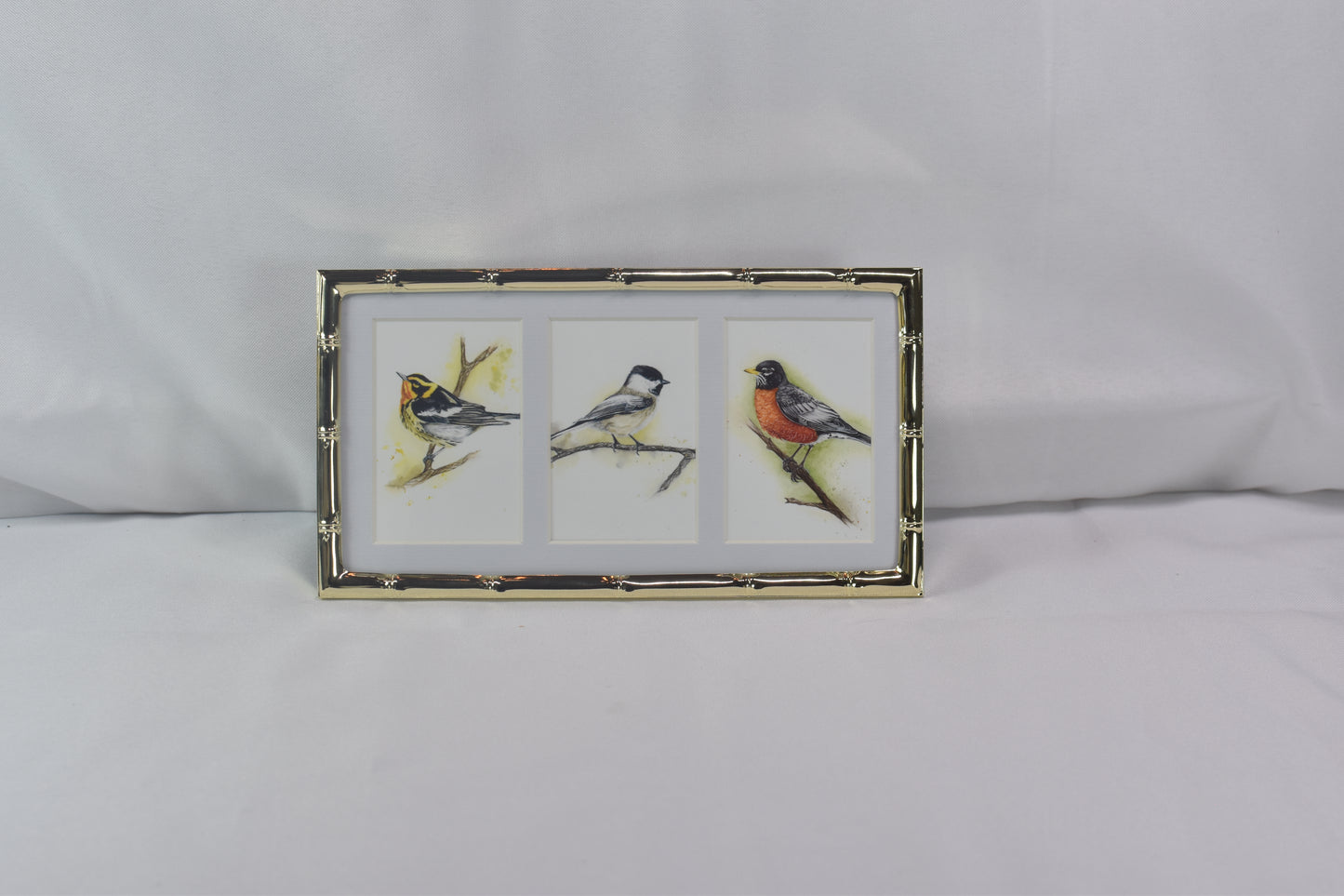 3 Way Songbird Frame