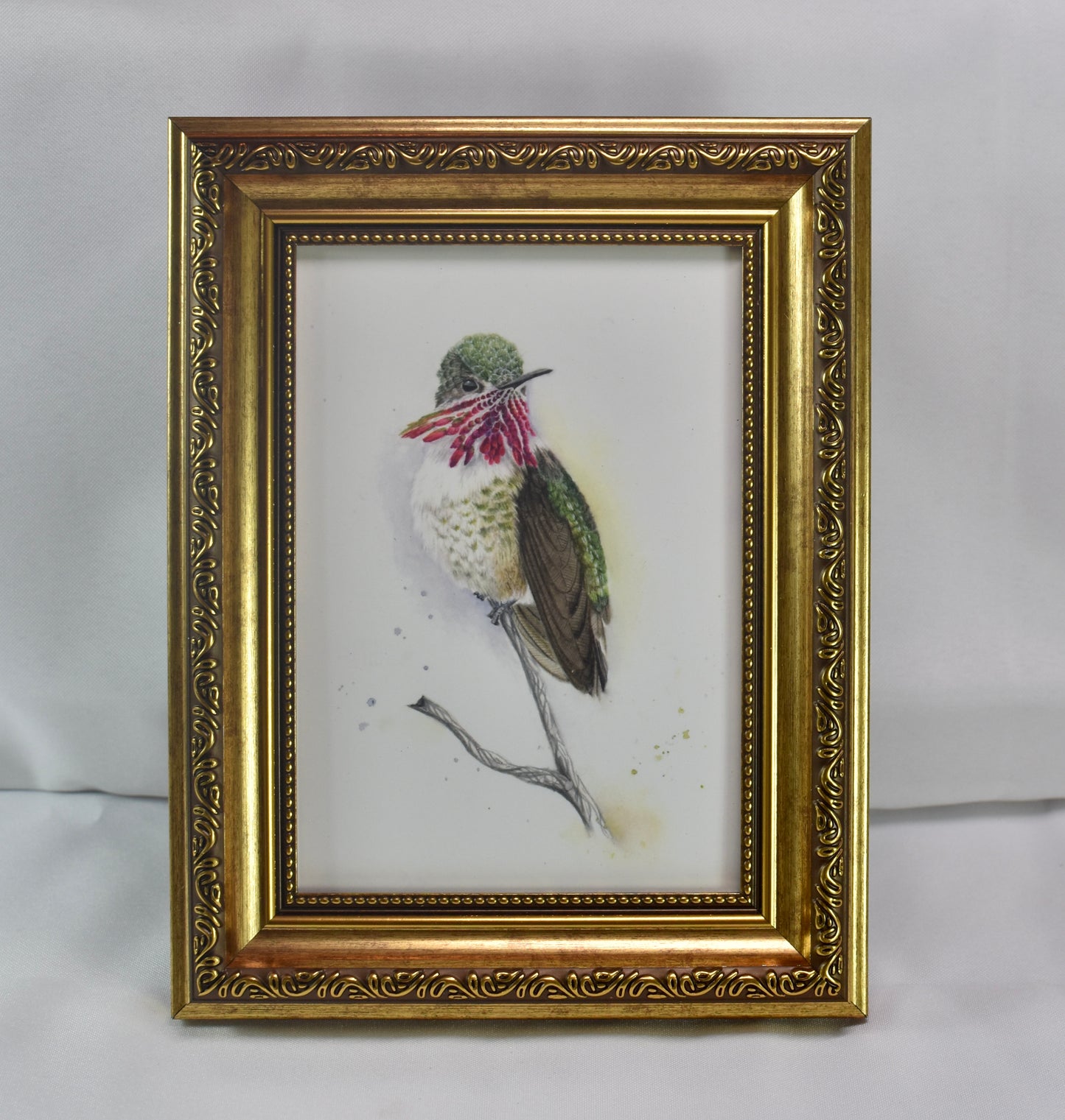 5x7 Calliope Hummingbird Frame