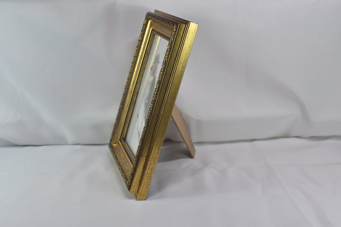 5x7 Calliope Hummingbird Frame