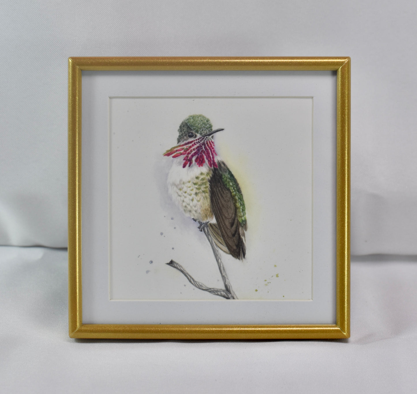 4x4 Calliope Hummingbird Frame