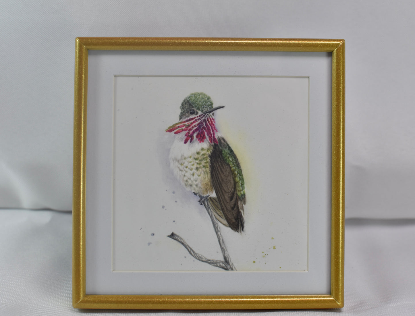 4x4 Calliope Hummingbird Frame