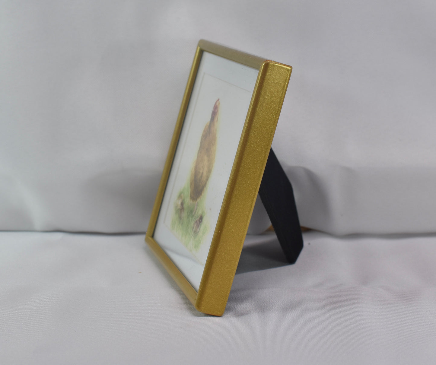 4x4 Buff Orpington Frame