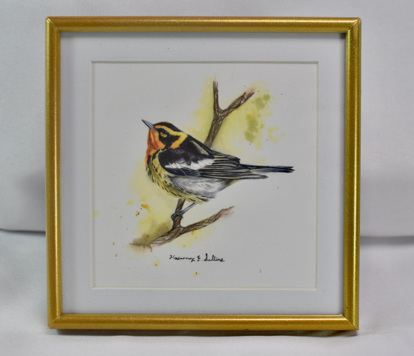 4x4 Blackburnian Warbler Frame