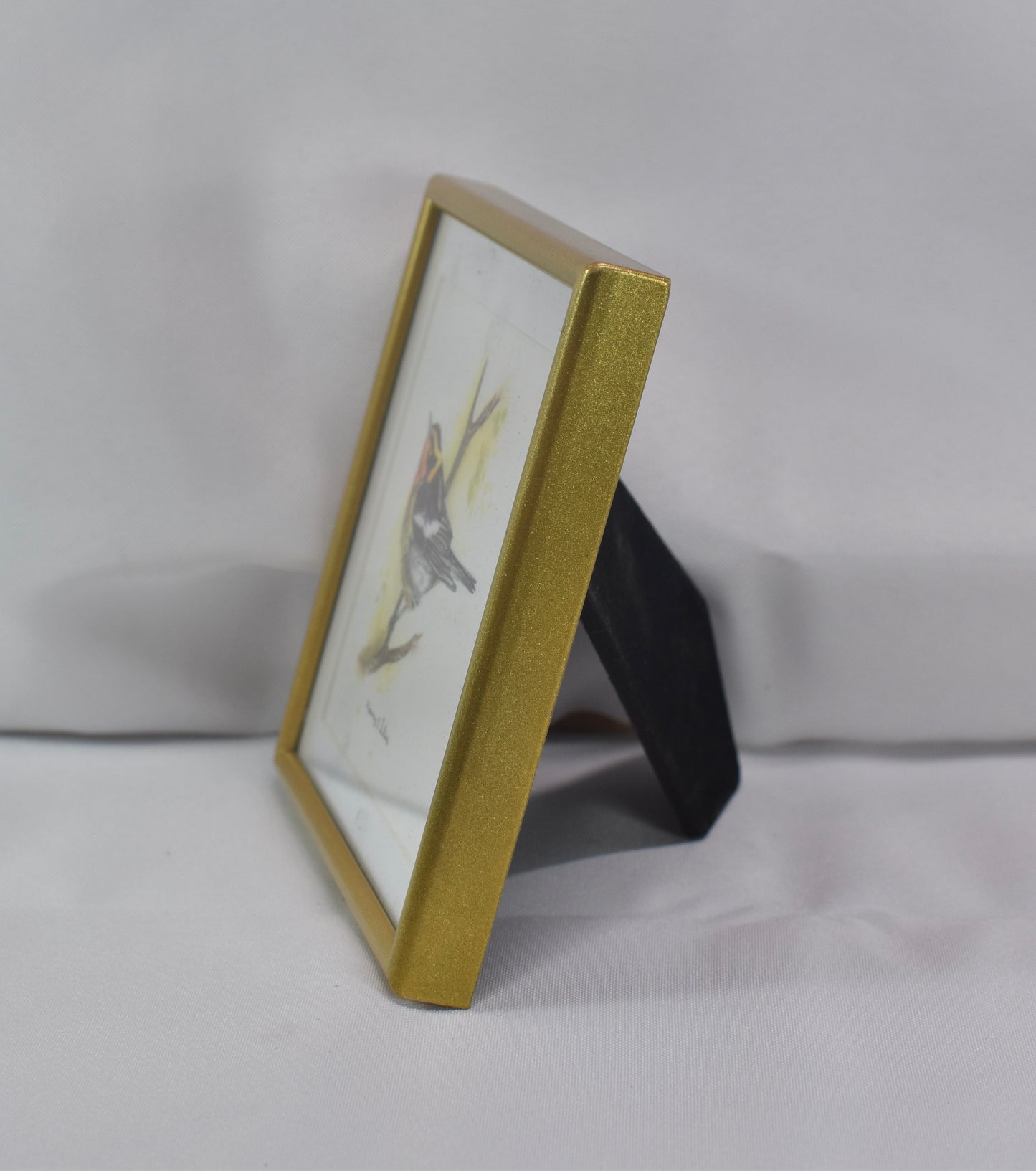 4x4 Blackburnian Warbler Frame