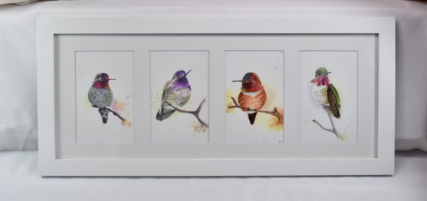 Hummingbird 4 Way Frame