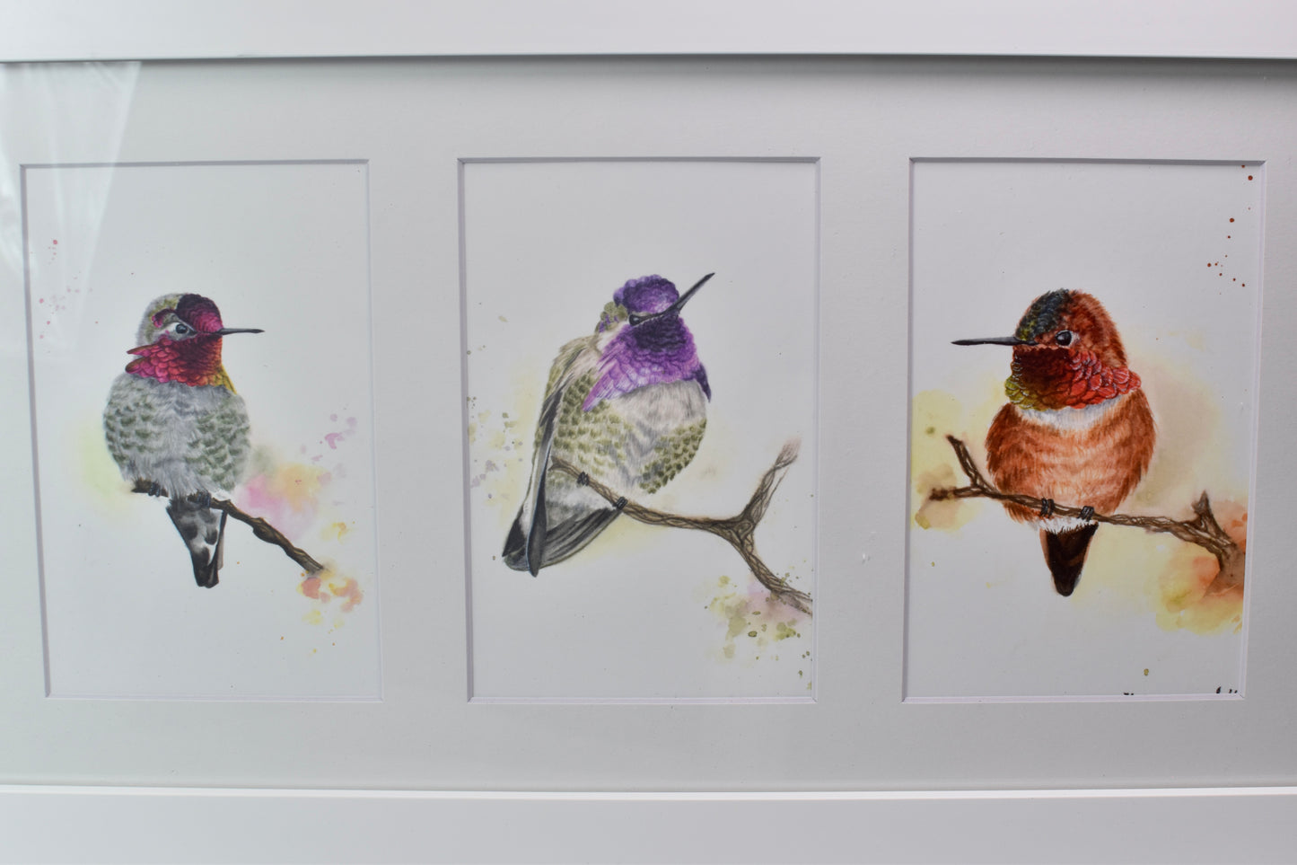 Hummingbird 4 Way Frame
