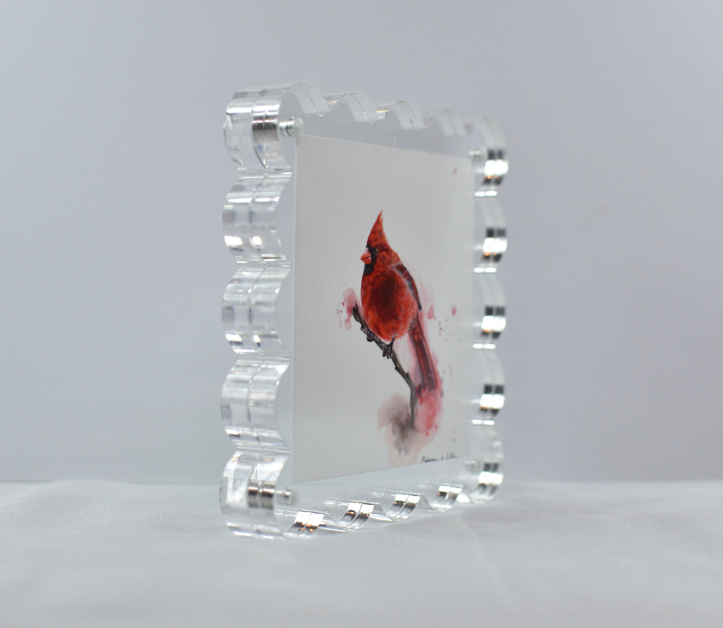 5x5 Acrylic Northern Cardinal Frame