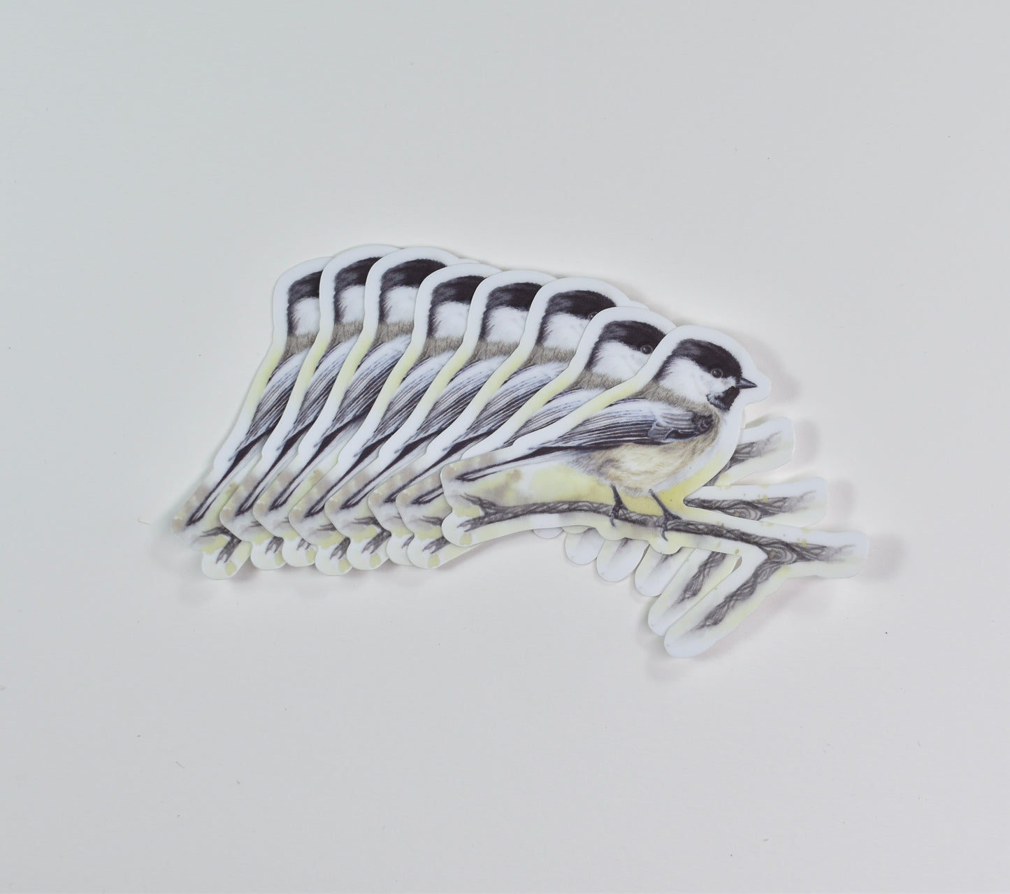 Black-Capped Chickadee (Male) Die-Cut Sticker