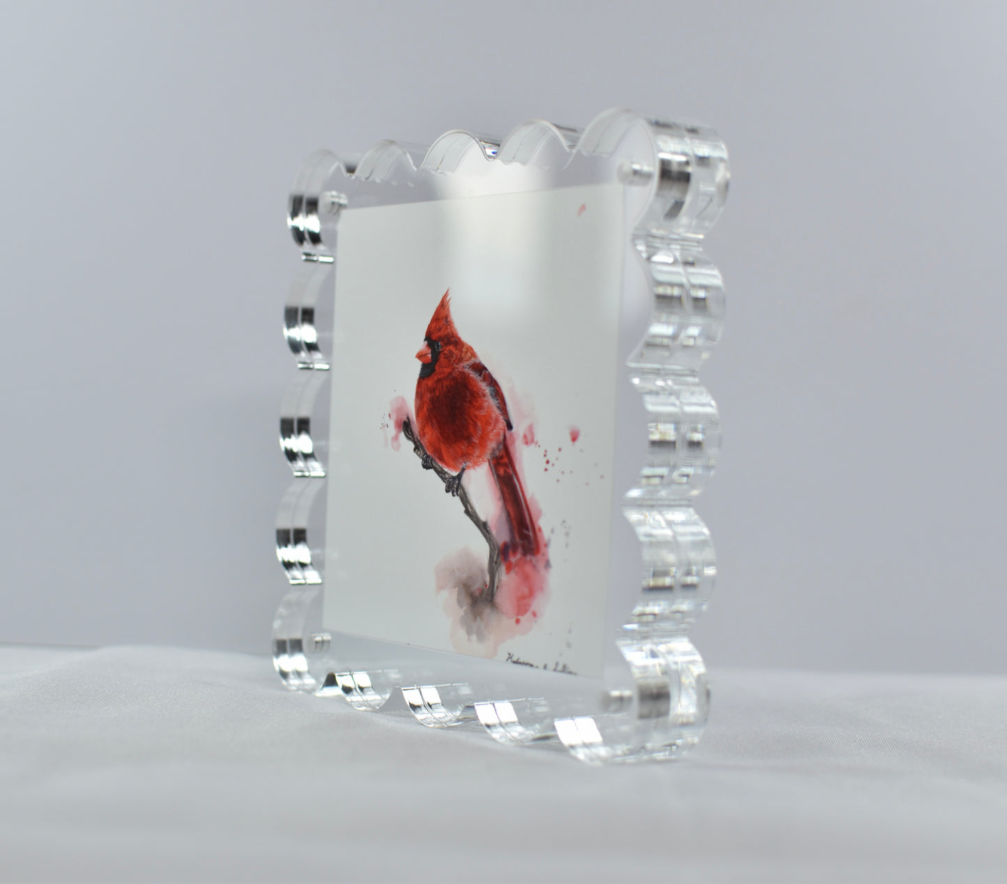 5x5 Acrylic Northern Cardinal Frame