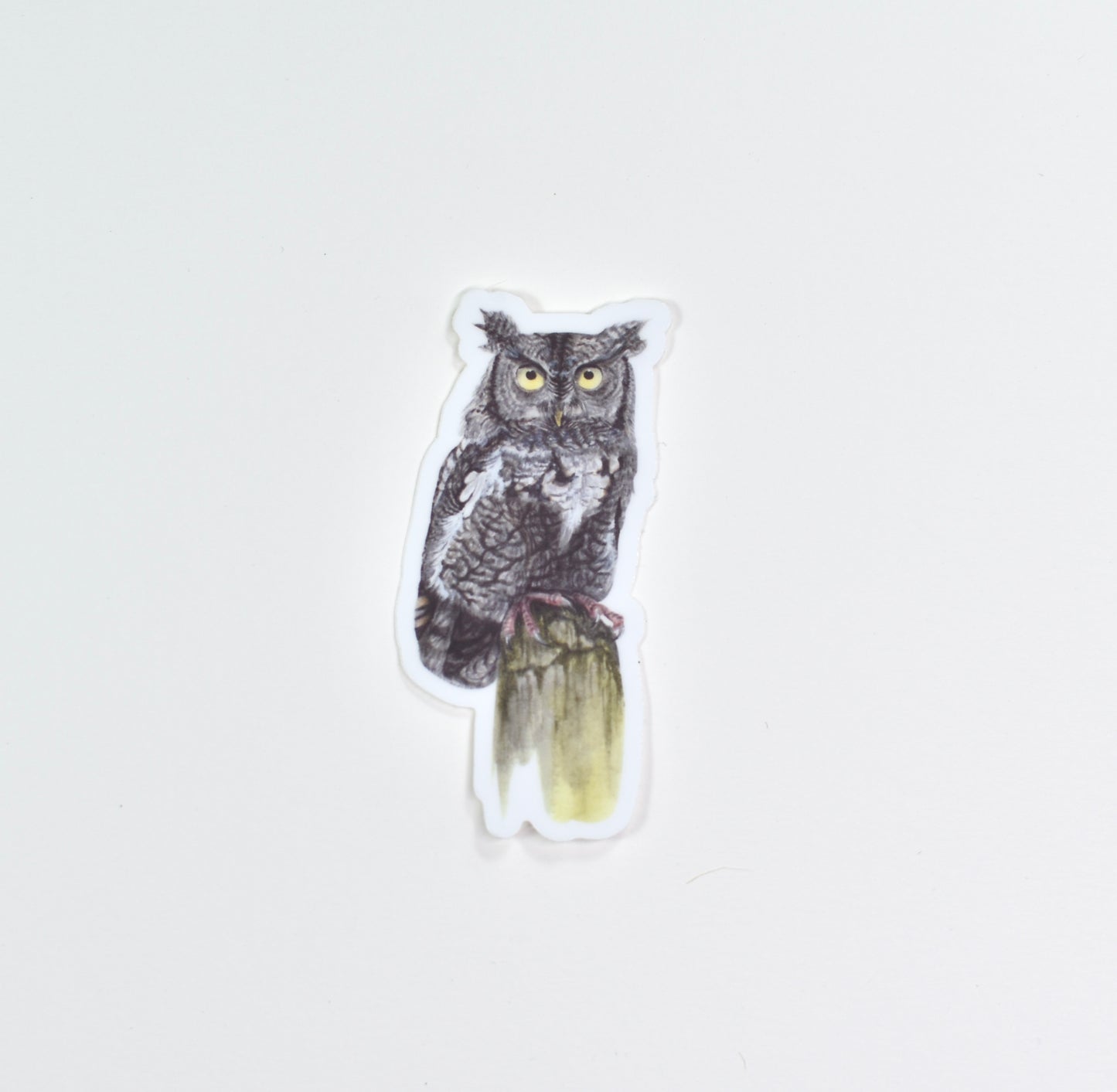Eastern Screech-Owl Die-Cut Sticker