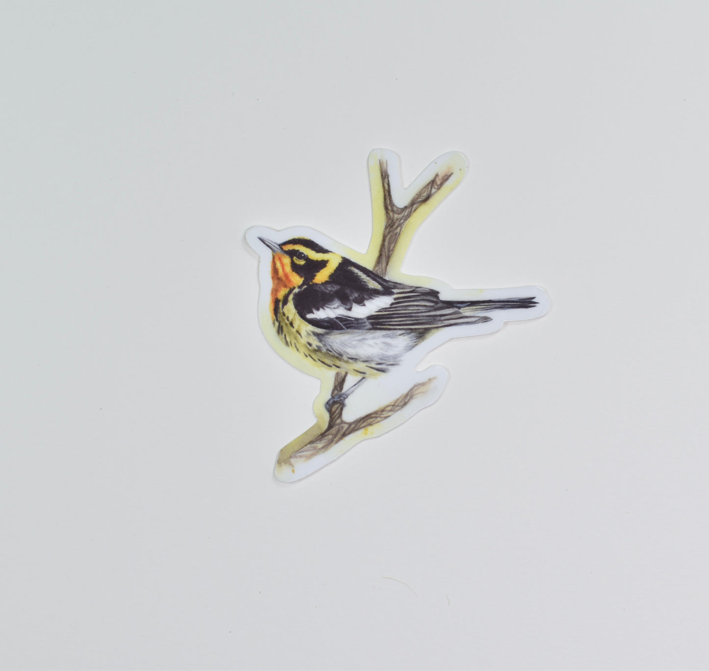 Blackburnian Warbler (Male) Die-Cut Sticker