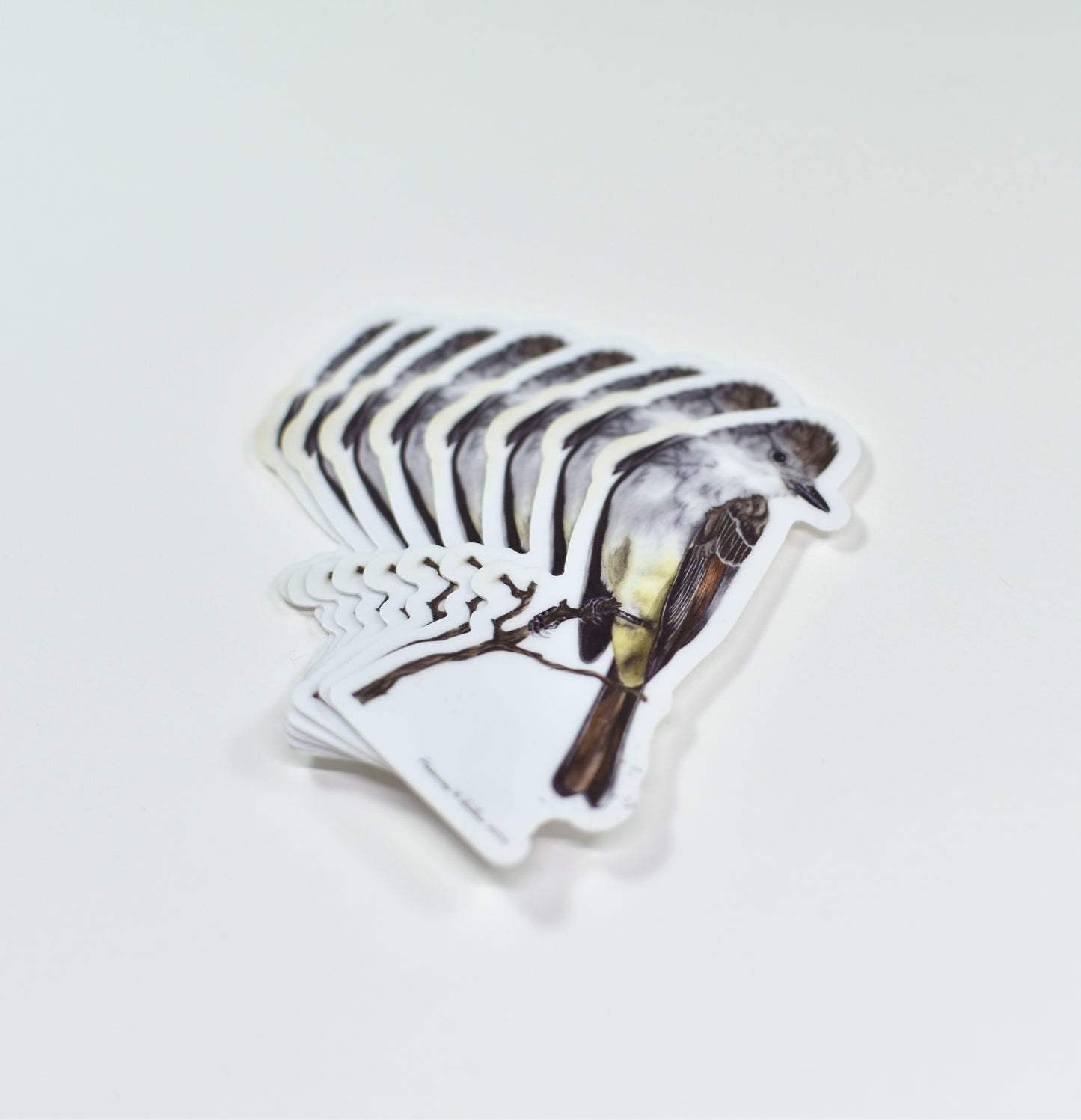 Ash-throated Flycatcher Die-Cut Sticker