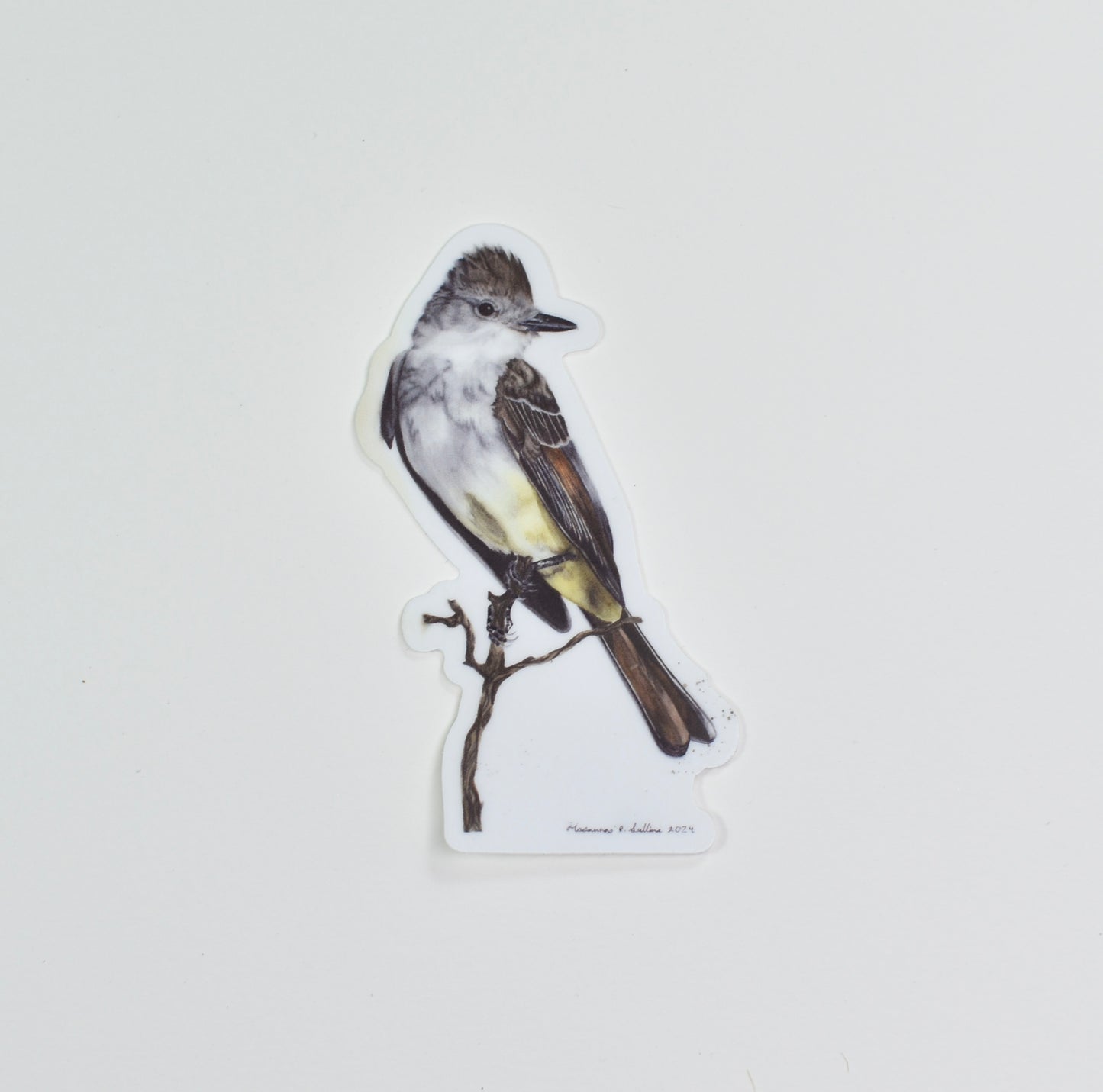 Ash-throated Flycatcher Die-Cut Sticker