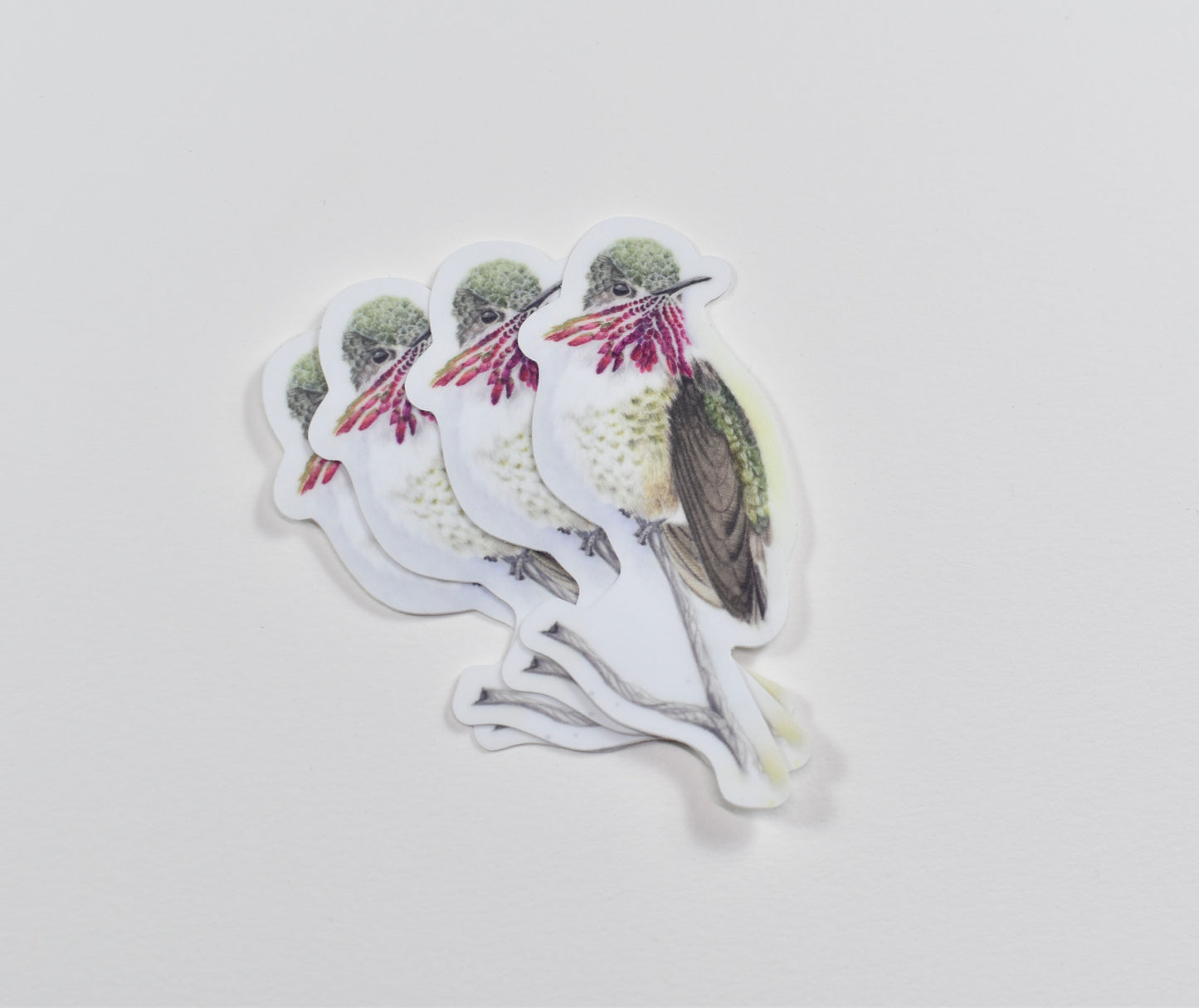 Calliope Hummingbird Die-cut Sticker