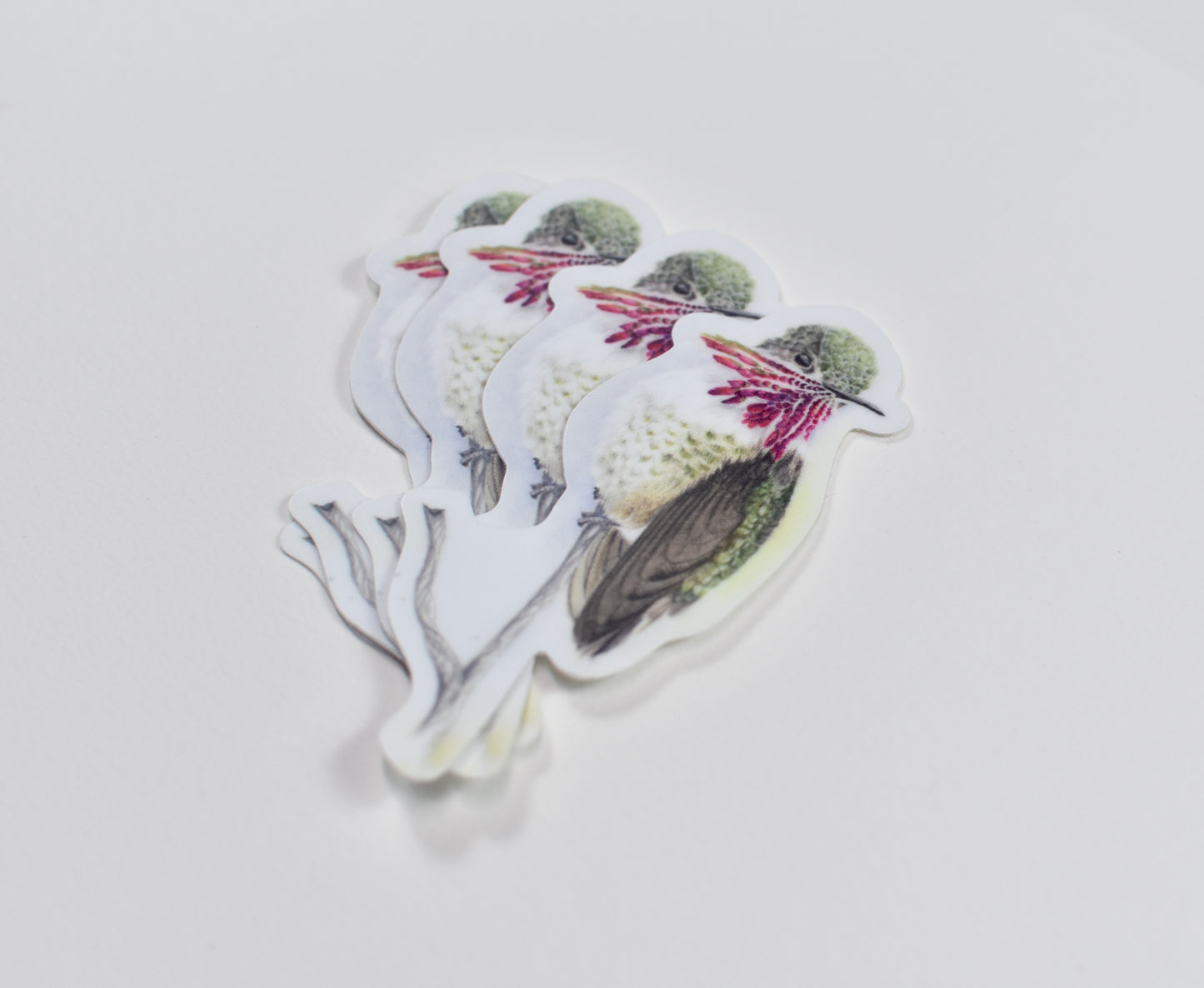 Calliope Hummingbird Die-cut Sticker