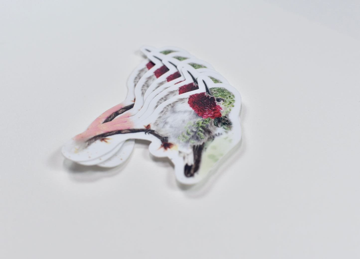 Broad-Tailed Hummingbird Die-cut sticker