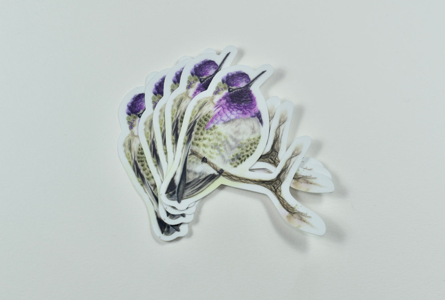 Costa's Hummingbird Die-Cut Sticker