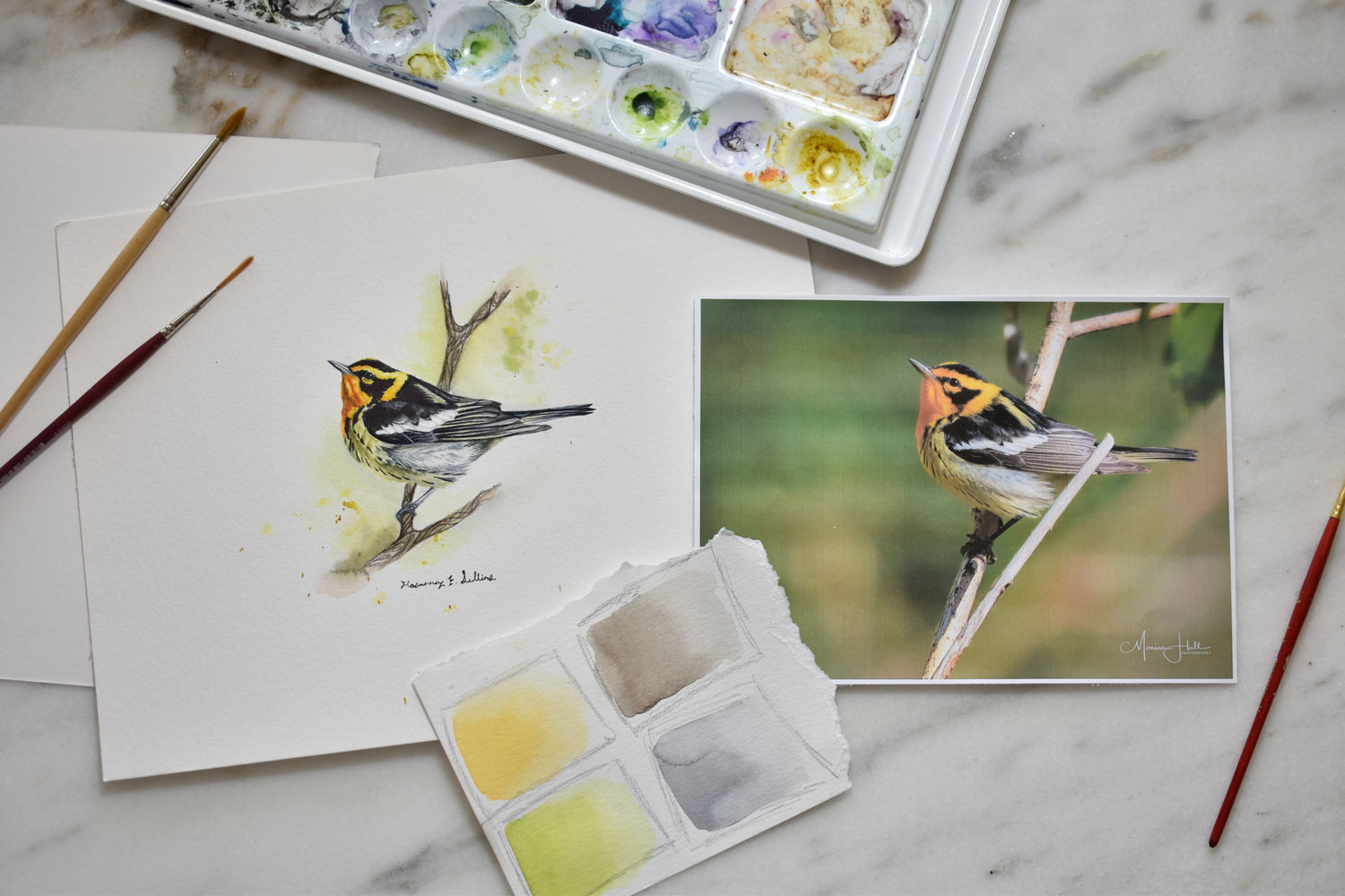 A finished watercolor painting of a Blackburnian warbler beside the reference photo it was painted from, with a paint palette, brushes and colour swatches on the desk.