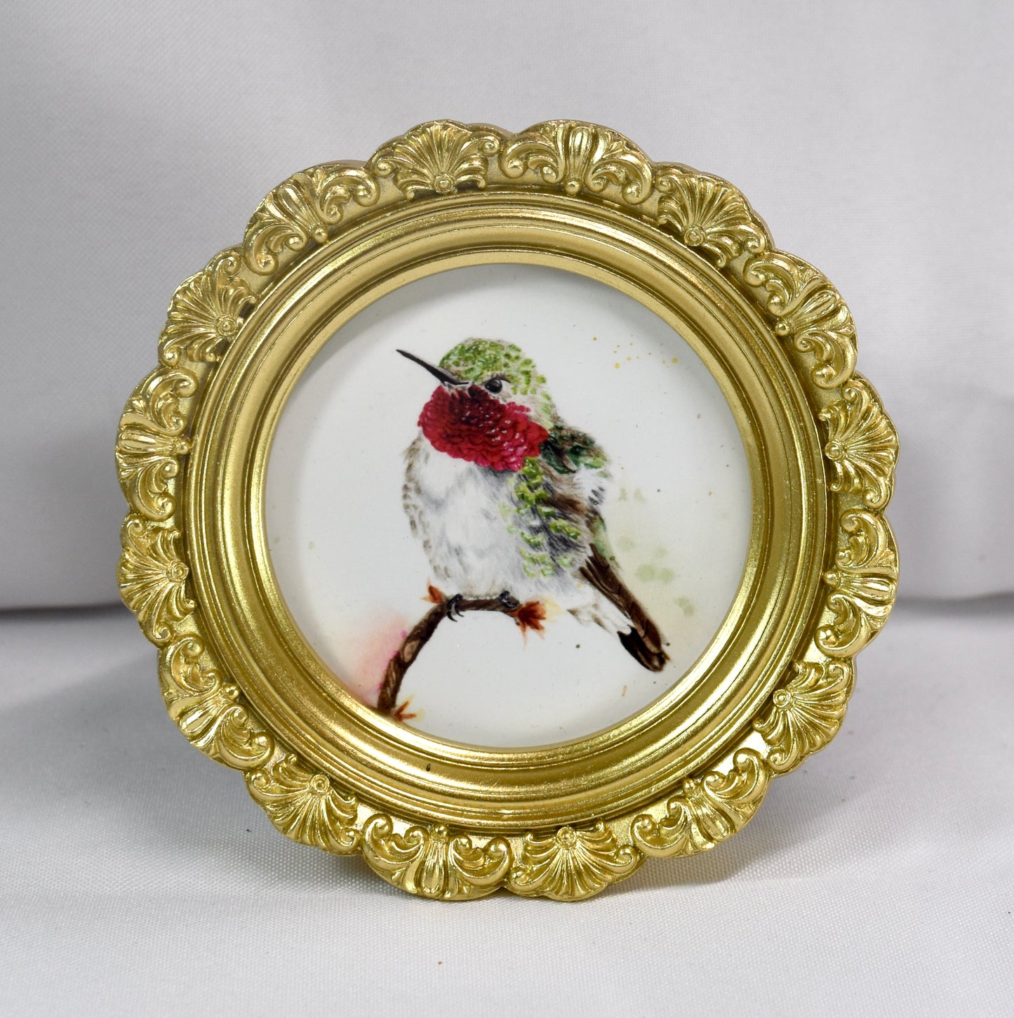 Mini Broad-Tailed Hummingbird circle Frame