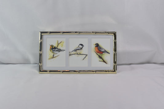 3 Way Songbird Frame