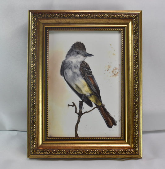 5x7 Ash-Throated Flycatcher Frame