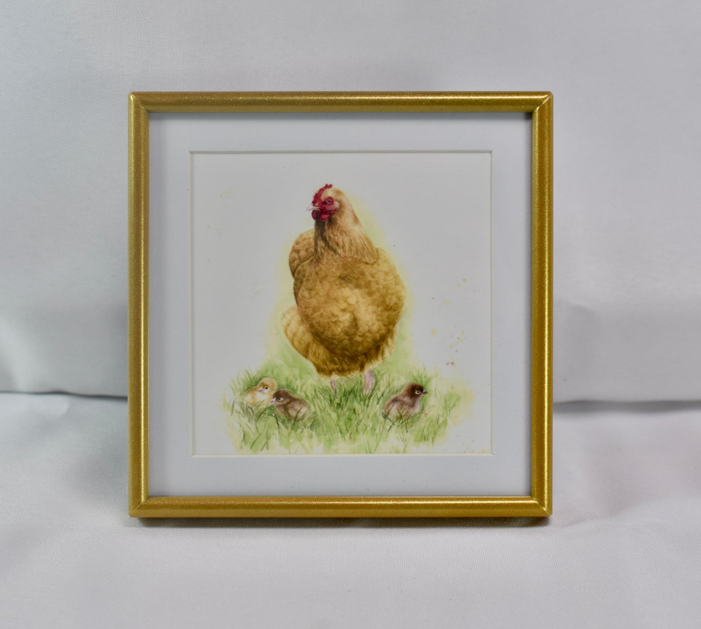 4x4 Buff Orpington Frame