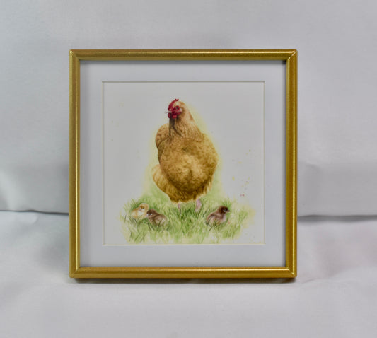 4x4 Buff Orpington Frame