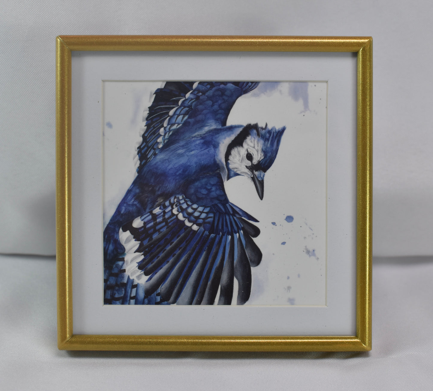 4x4 Bluejay Frame