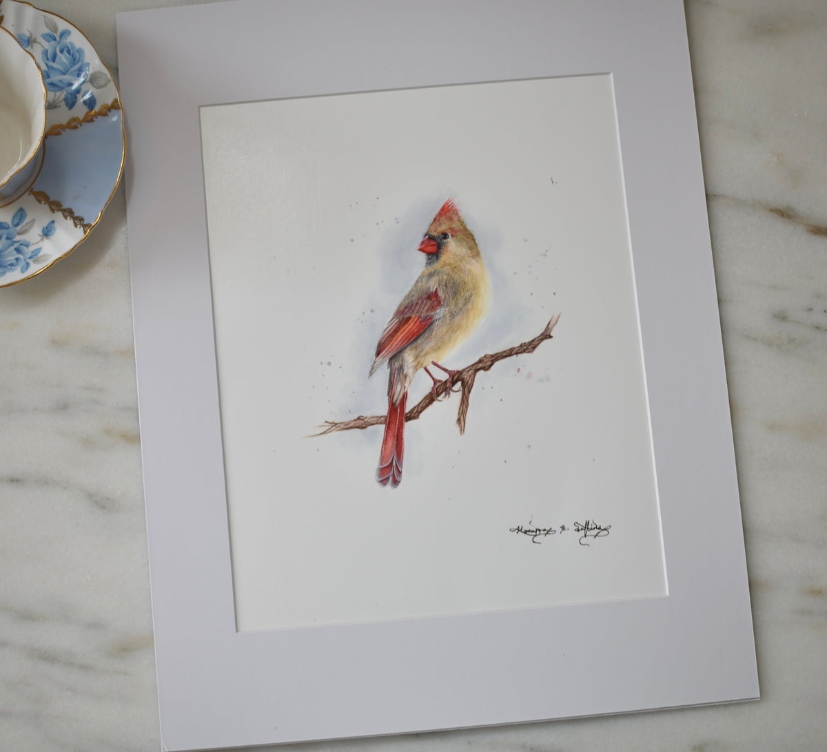Celine: Female Cardinal: Blue Winter Series