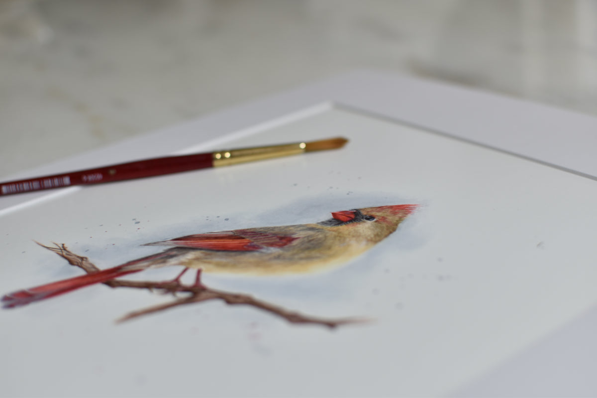 Celine: Female Cardinal: Blue Winter Series