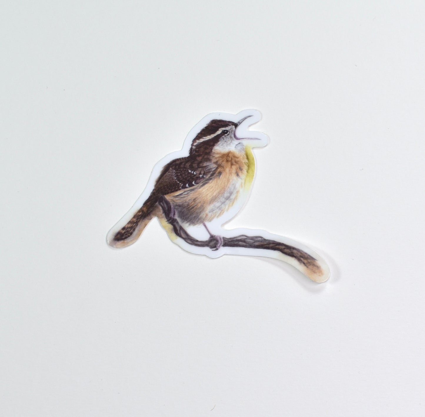 Carolina Wren Die-Cut Sticker