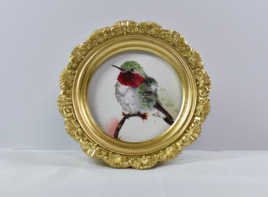 4x4 broad-tailed hummingbird  frame
