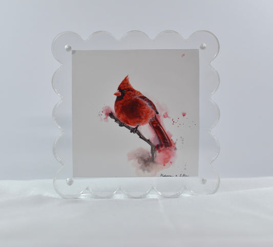 5x5 Acrylic Northern Cardinal Frame