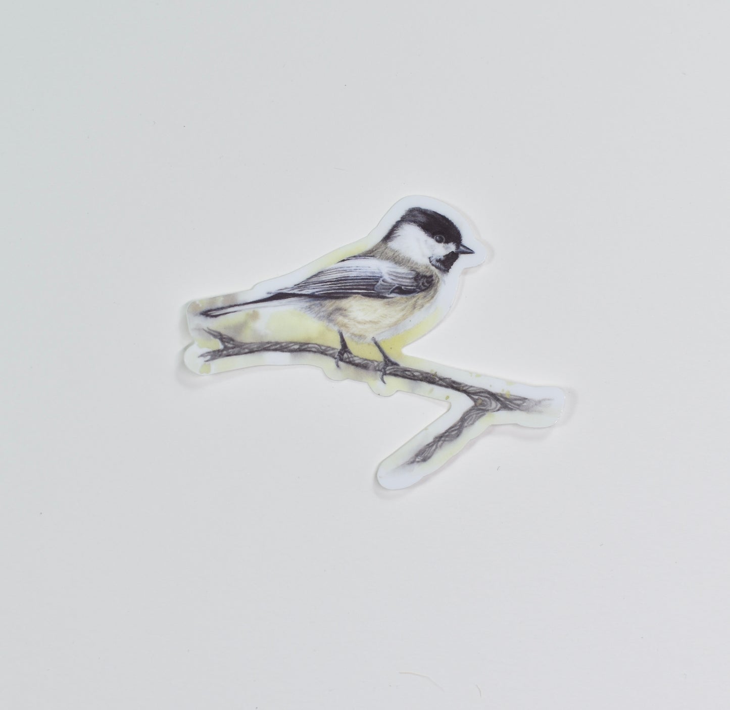 Black-Capped Chickadee (Male) Die-Cut Sticker