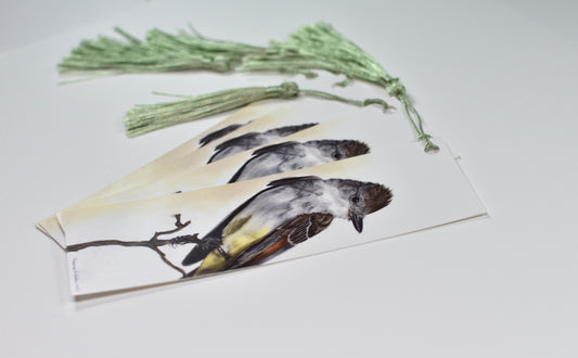 Ash-Throated Flycatcher Bookmark