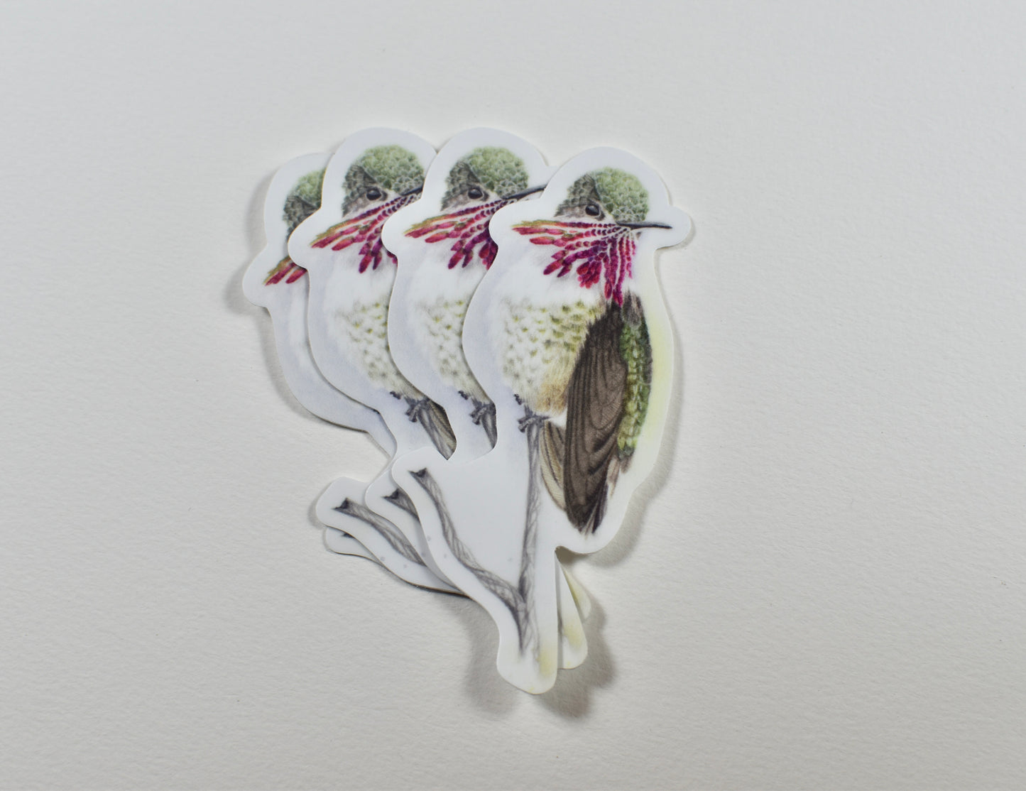 Calliope Hummingbird Die-cut Sticker