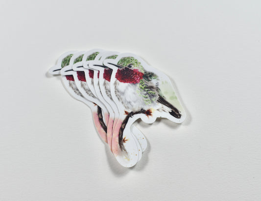 Broad-Tailed Hummingbird Die-cut sticker