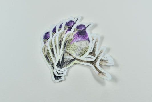 Costa's Hummingbird Die-Cut Sticker