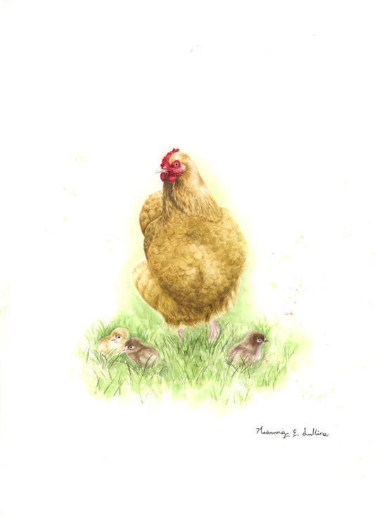 Buff Orpington hen and chicks